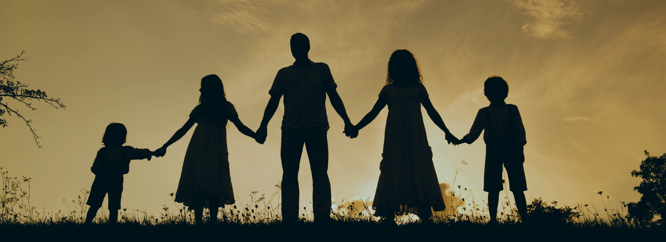 estate planning for blended families